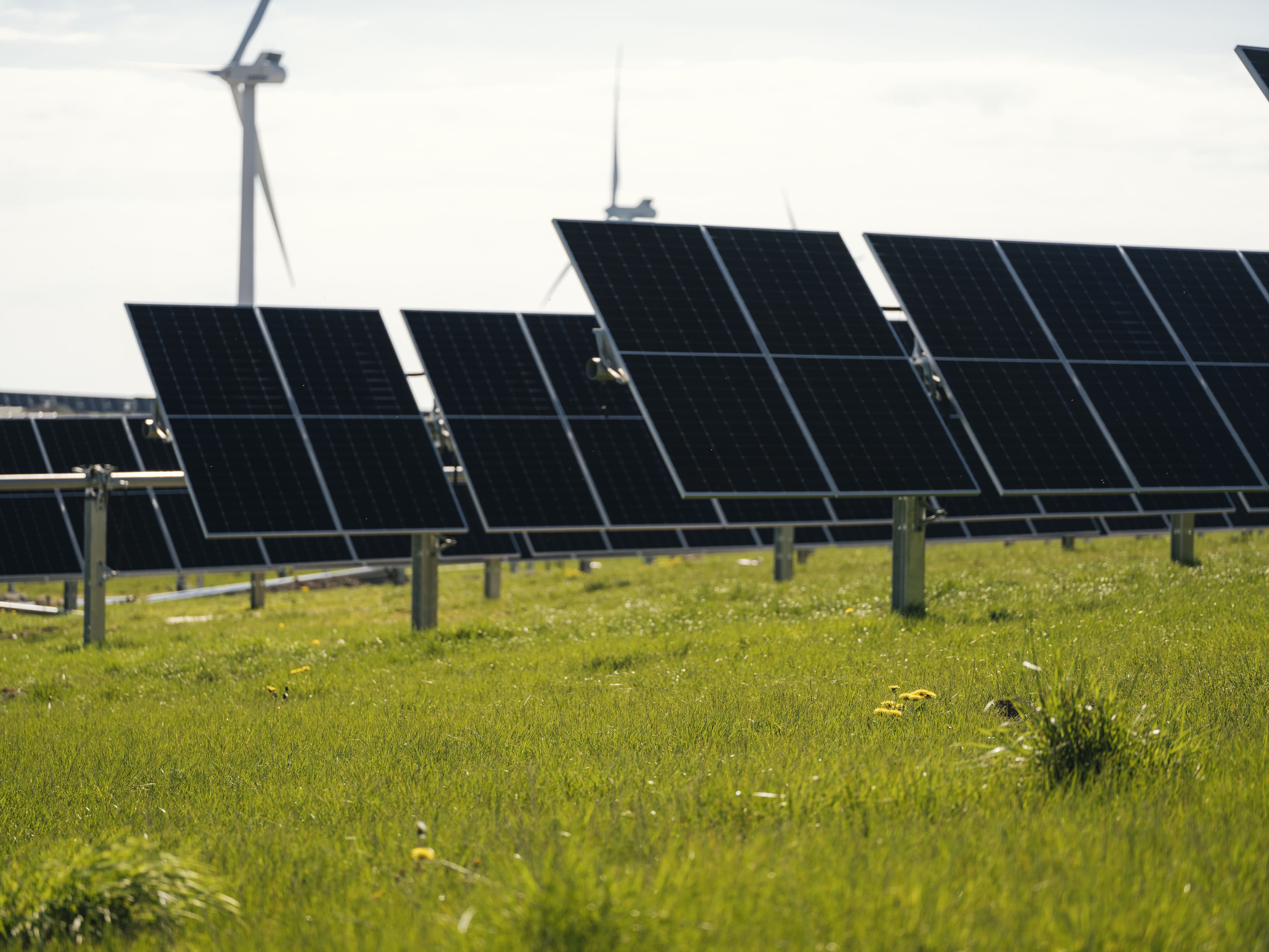 Hero Image undefined