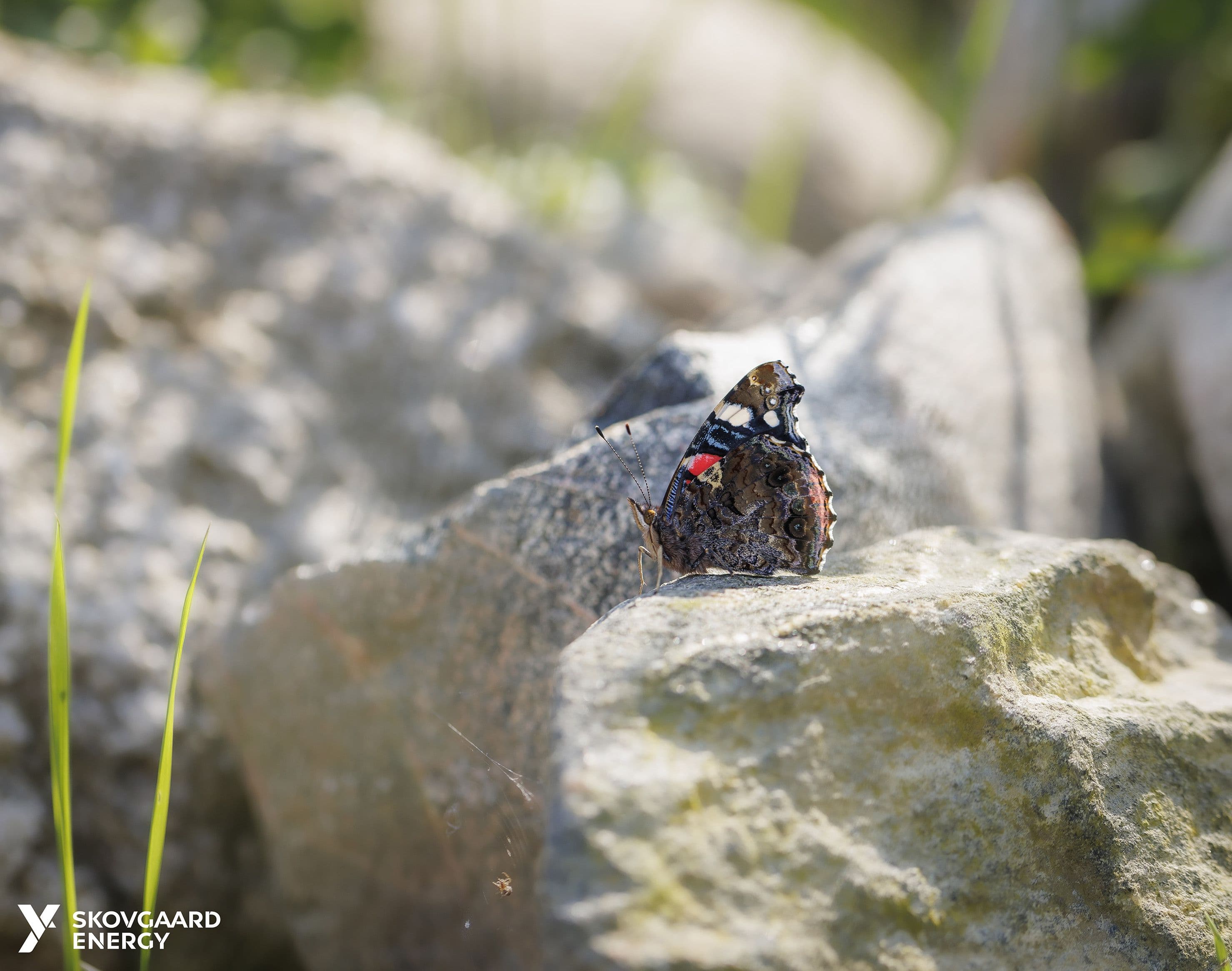 Hero Image undefined