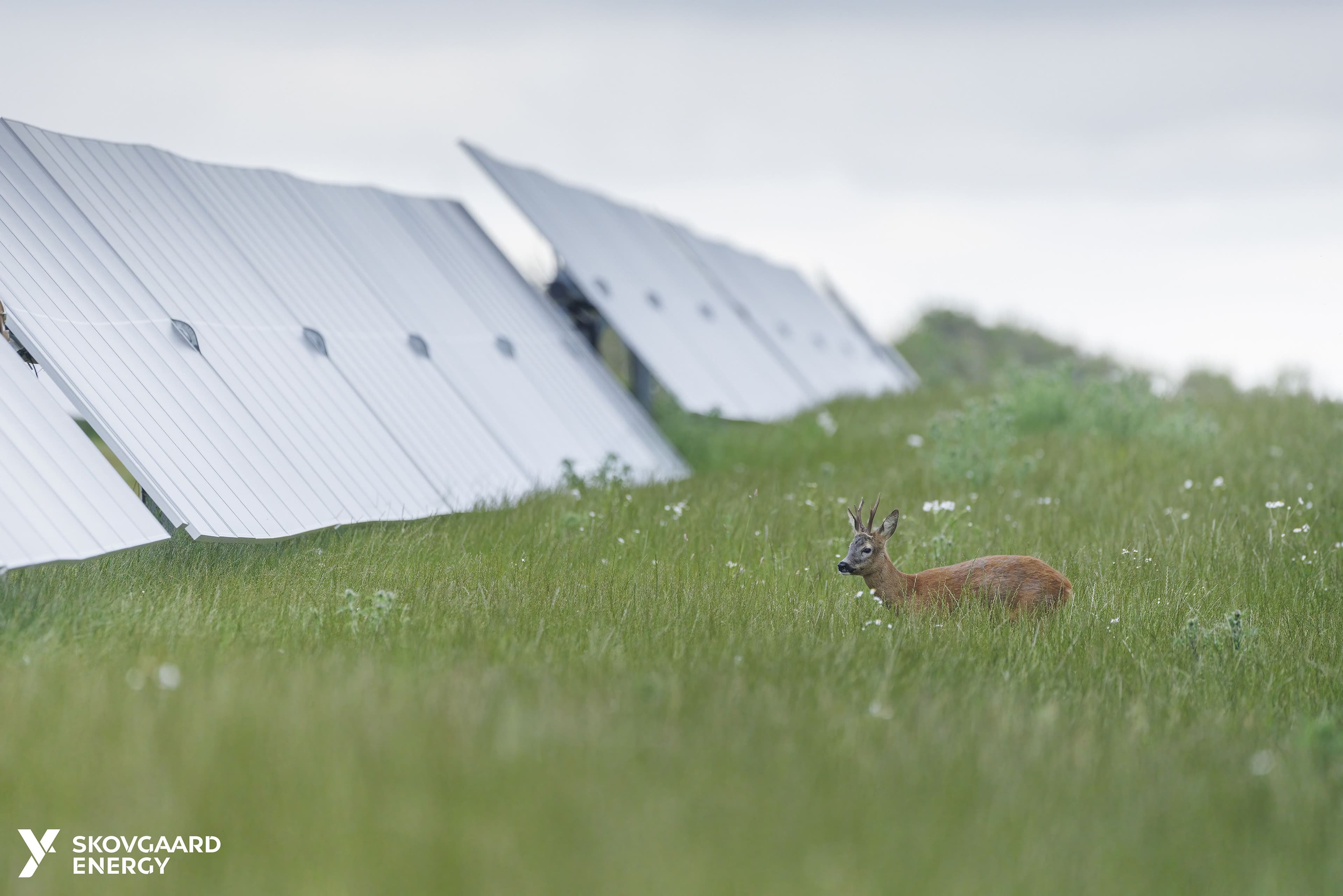 Hero Image undefined